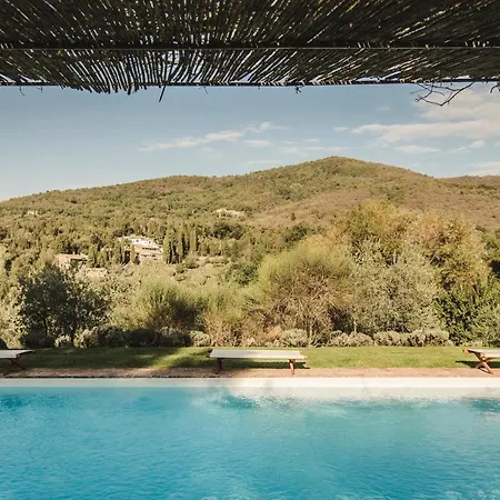 La Veronica Boutique * Chiocchio